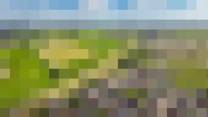 Kastanjelaan 3 Opheusden thumbnail 35