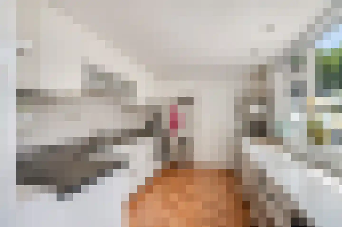 Kastanjelaan 30 Rhenen thumbnail 14