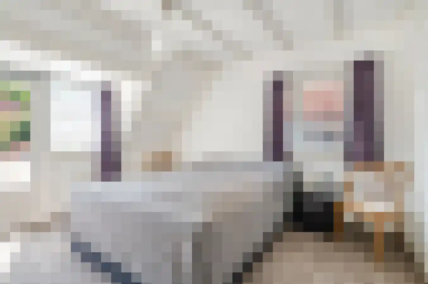 Kastanjelaan 30 Rhenen thumbnail 17