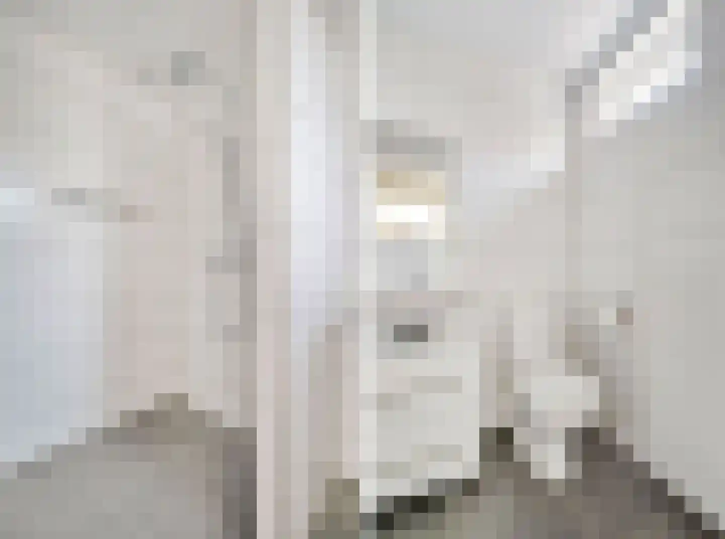 Kastanjelaan 30 Rhenen thumbnail 23