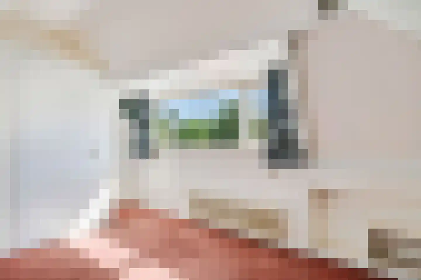 Kastanjelaan 30 Rhenen thumbnail 26