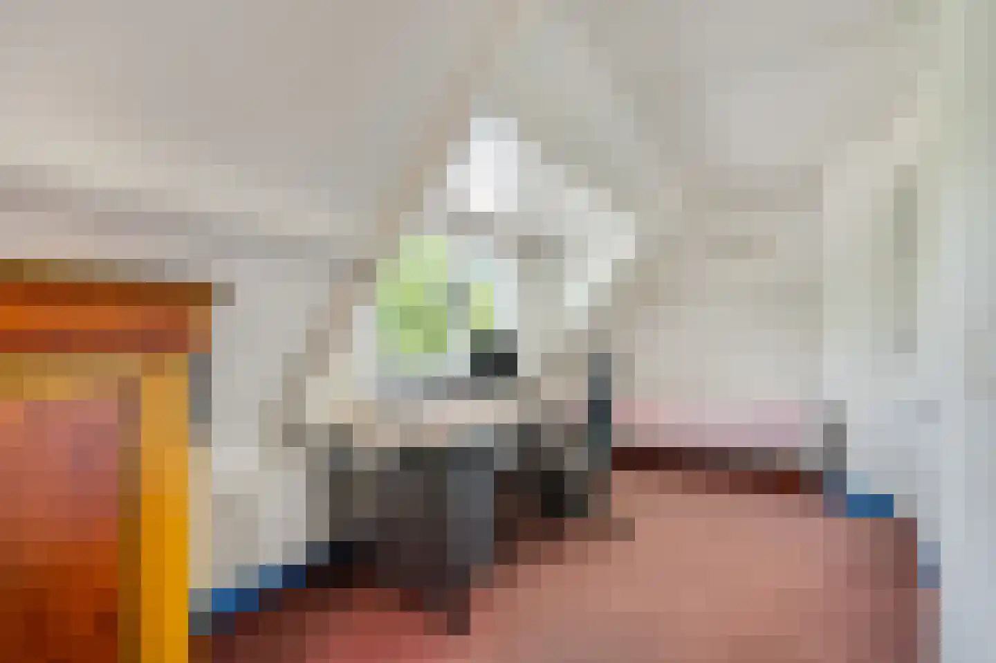 Kastanjelaan 30 Rhenen thumbnail 28