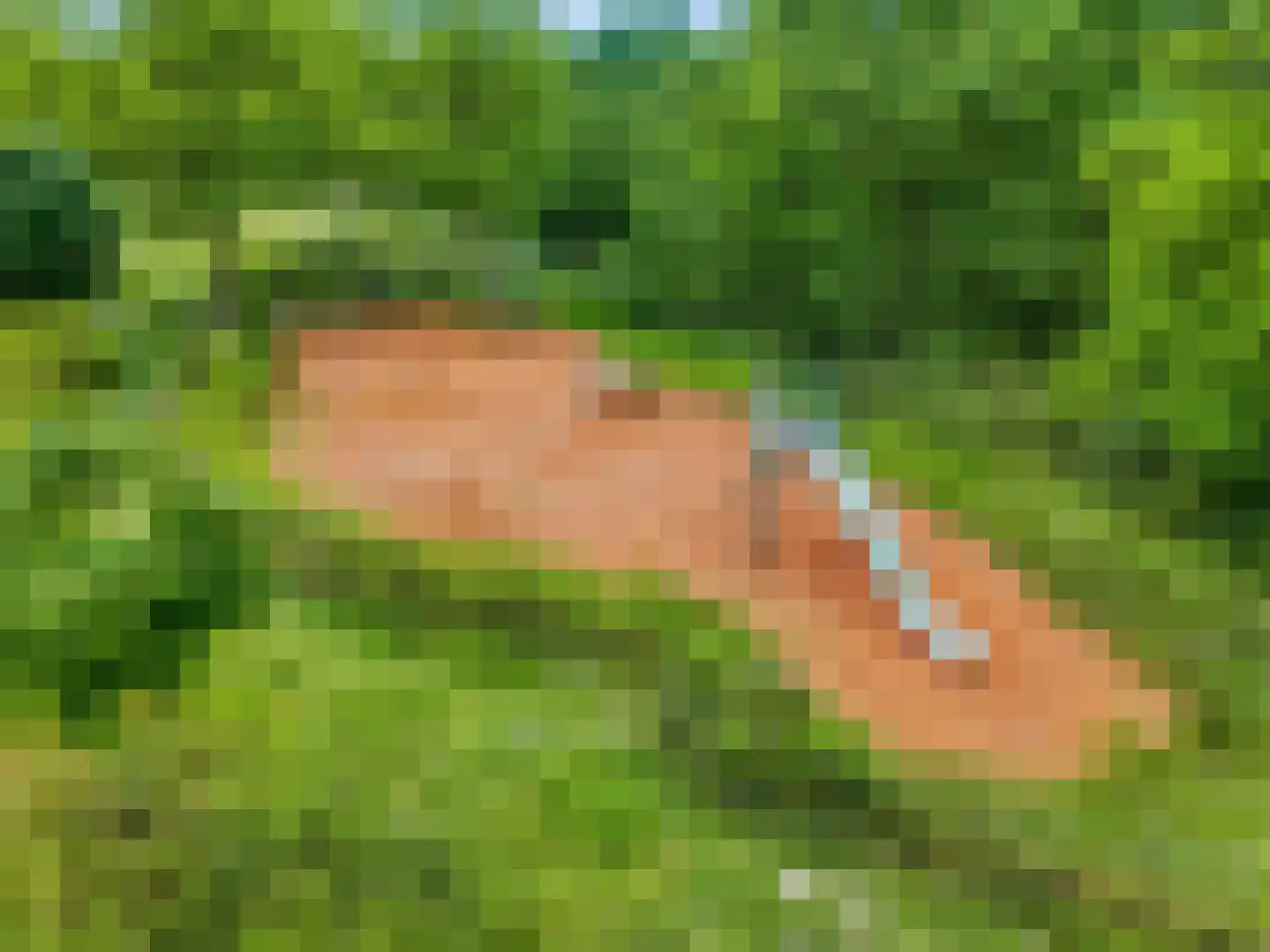 Kastanjelaan 30 Rhenen thumbnail 38