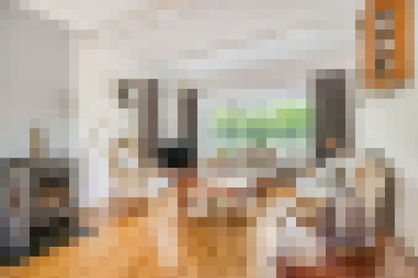 Kastanjelaan 30 Rhenen thumbnail 6