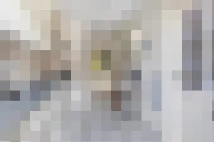 Kastanjelaan 30 Winschoten thumbnail 11