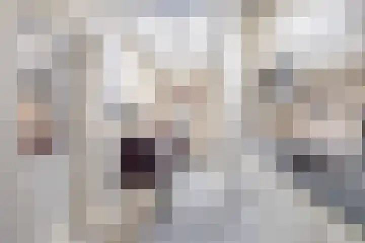 Kastanjelaan 30 Winschoten thumbnail 12