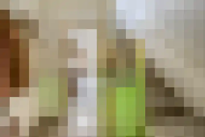 Kastanjelaan 30 Winschoten thumbnail 14