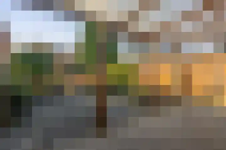 Kastanjelaan 30 Winschoten thumbnail 24