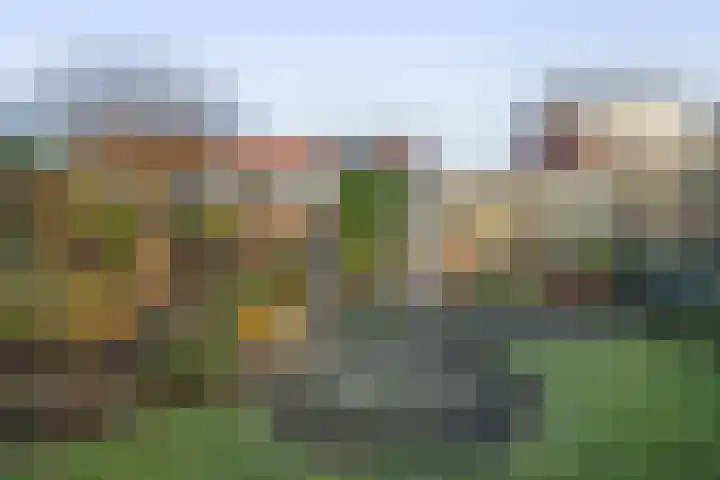 Kastanjelaan 30 Winschoten thumbnail 27