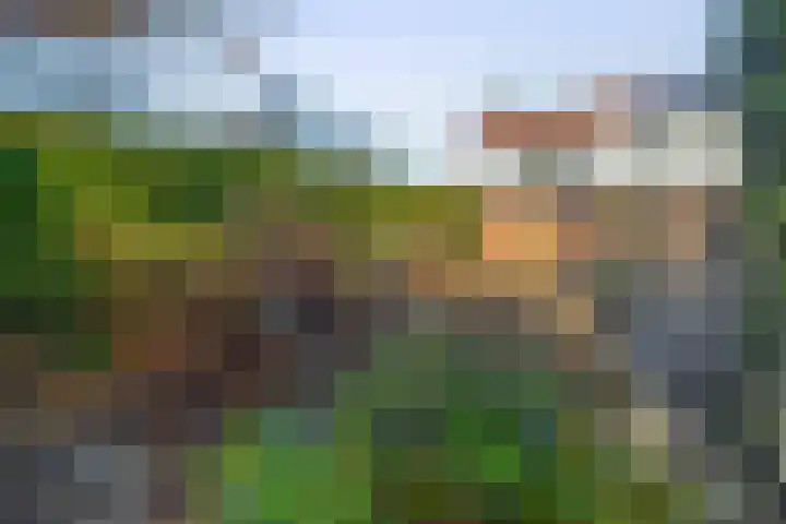Kastanjelaan 30 Winschoten thumbnail 28