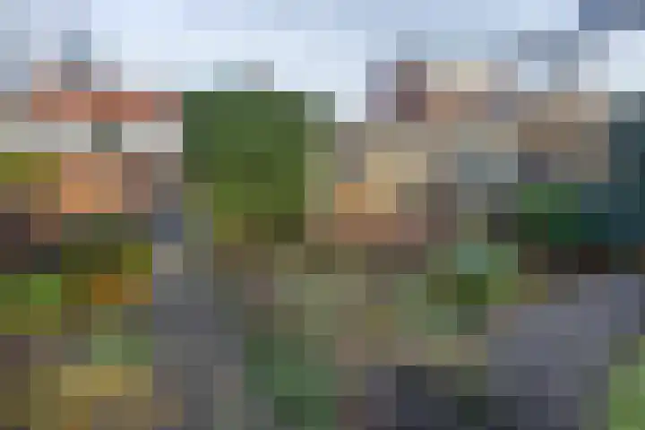 Kastanjelaan 30 Winschoten thumbnail 29