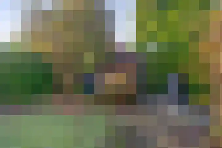 Kastanjelaan 30 Winschoten thumbnail 30