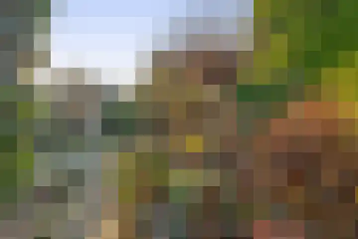 Kastanjelaan 30 Winschoten thumbnail 31