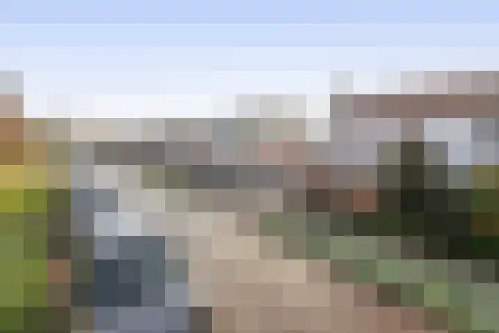 Kastanjelaan 30 Winschoten thumbnail 35
