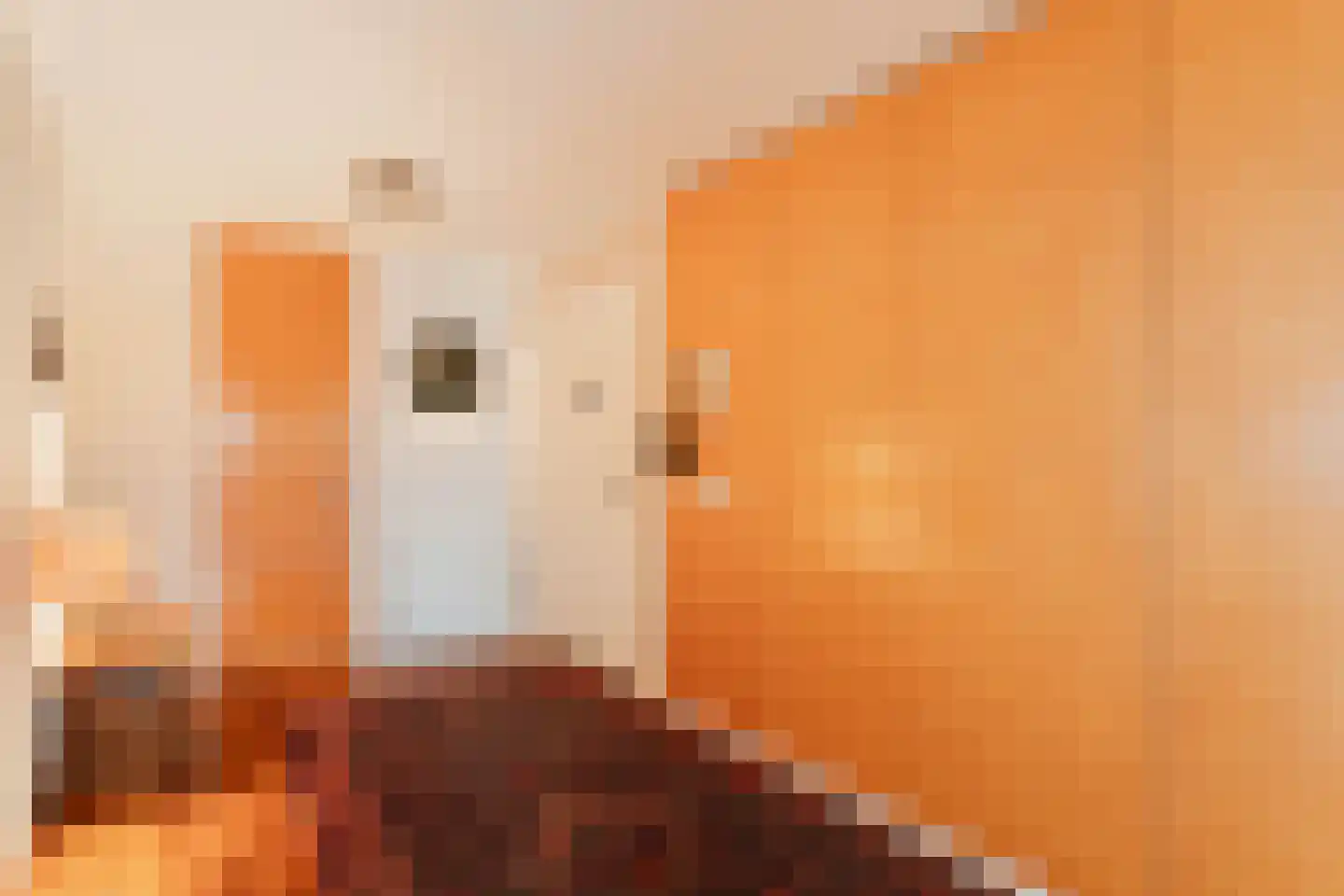 Kastanjelaan 307 Amstelveen thumbnail 32