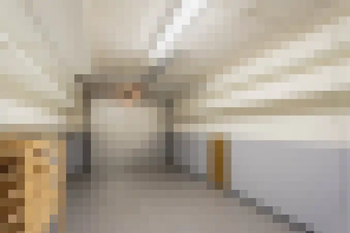 Kastanjelaan 307 Amstelveen thumbnail 33