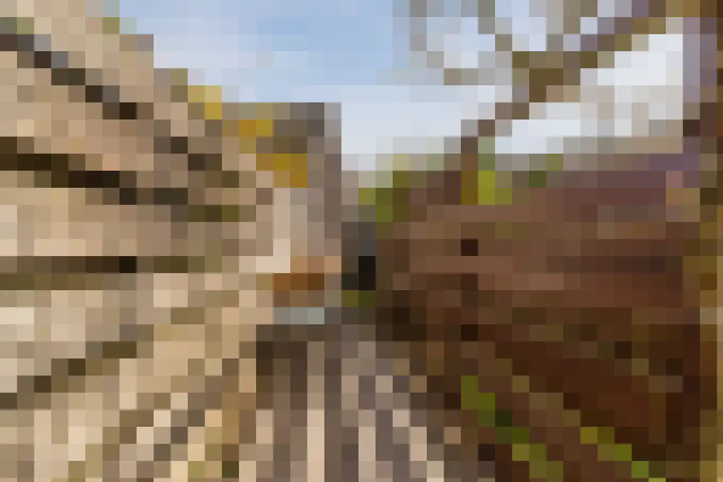 Kastanjelaan 31 Arkel thumbnail 13