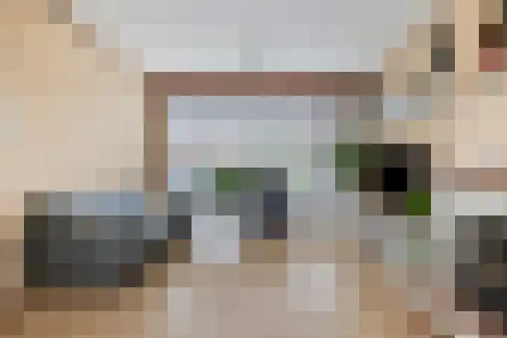 Kastanjelaan 31 Bergen op Zoom thumbnail 10