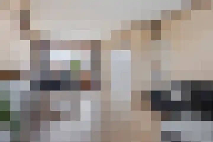 Kastanjelaan 31 Bergen op Zoom thumbnail 12
