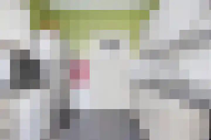 Kastanjelaan 31 Bergen op Zoom thumbnail 15