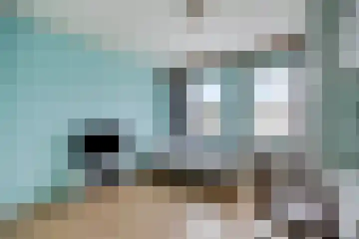 Kastanjelaan 31 Bergen op Zoom thumbnail 20