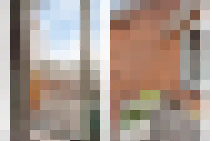Kastanjelaan 31 Bergen op Zoom thumbnail 28