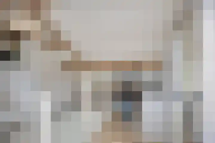 Kastanjelaan 31 Bergen op Zoom thumbnail 33