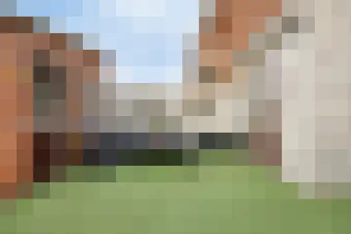 Kastanjelaan 31 Bergen op Zoom thumbnail 38
