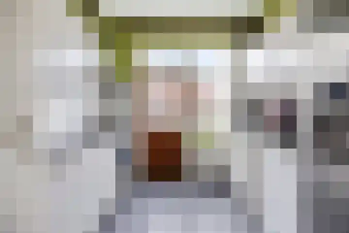Kastanjelaan 31 Bergen op Zoom thumbnail 4