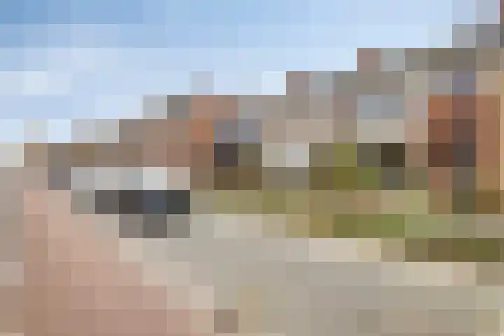 Kastanjelaan 31 Bergen op Zoom thumbnail 42