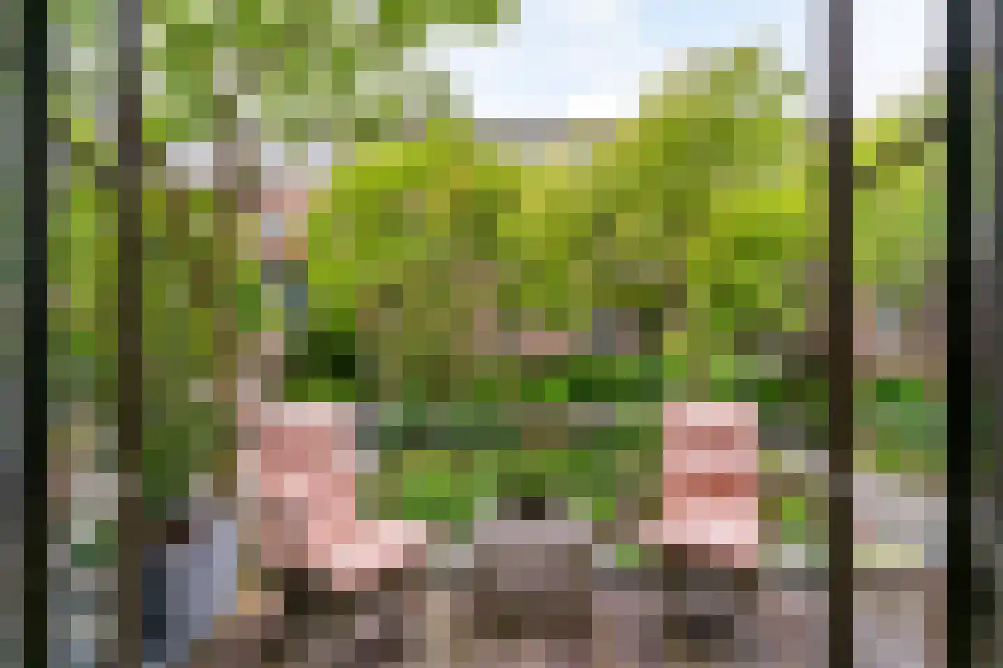 Kastanjelaan 32 Bloemendaal thumbnail 13