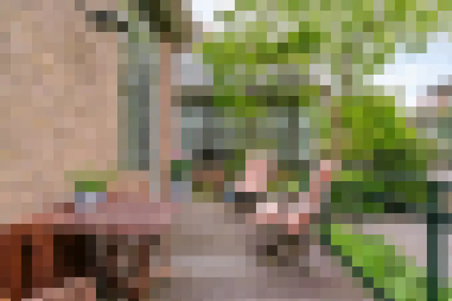 Kastanjelaan 32 Bloemendaal thumbnail 15