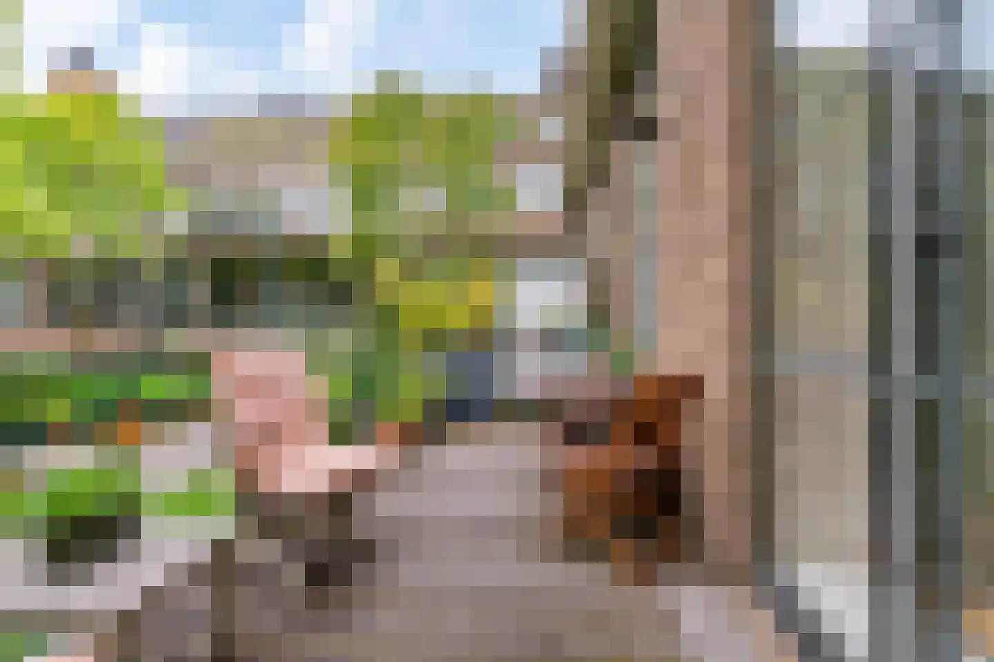 Kastanjelaan 32 Bloemendaal thumbnail 15