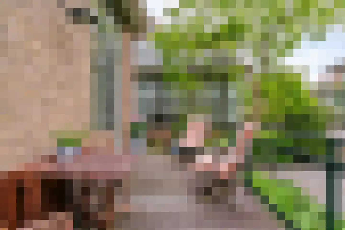 Kastanjelaan 32 Bloemendaal thumbnail 16
