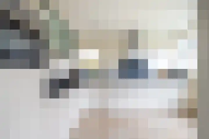 Kastanjelaan 33 Doetinchem thumbnail 10