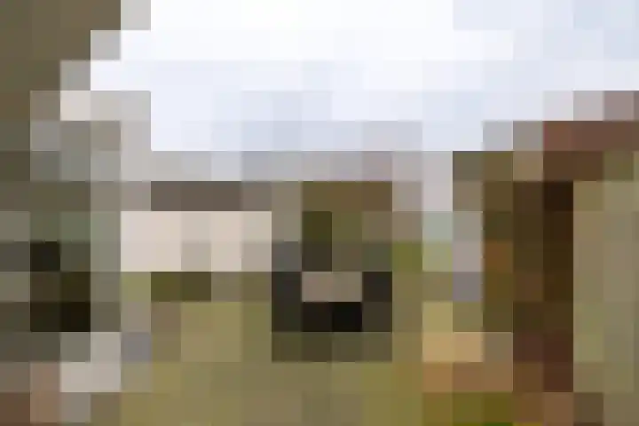 Kastanjelaan 33 Doetinchem thumbnail 15