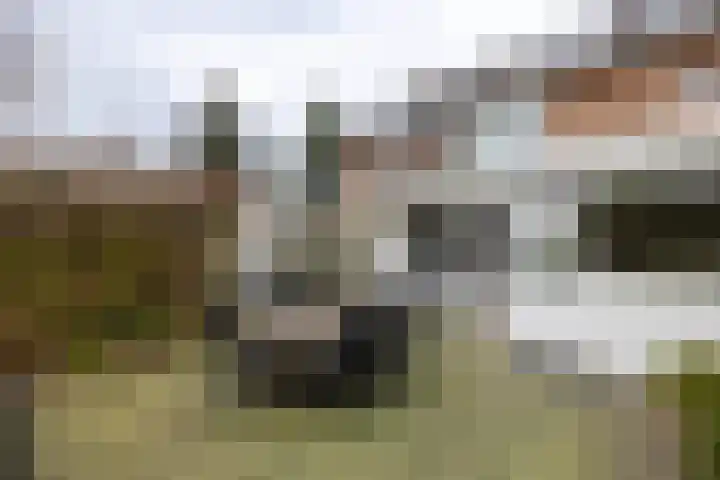 Kastanjelaan 33 Doetinchem thumbnail 16