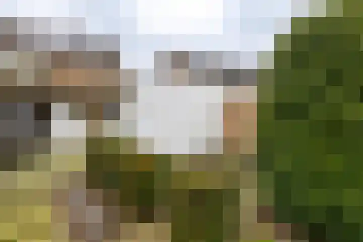 Kastanjelaan 33 Doetinchem thumbnail 17