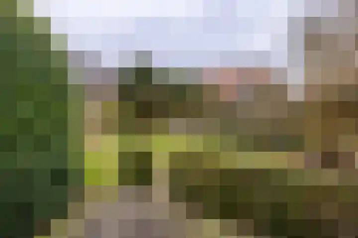Kastanjelaan 33 Doetinchem thumbnail 18