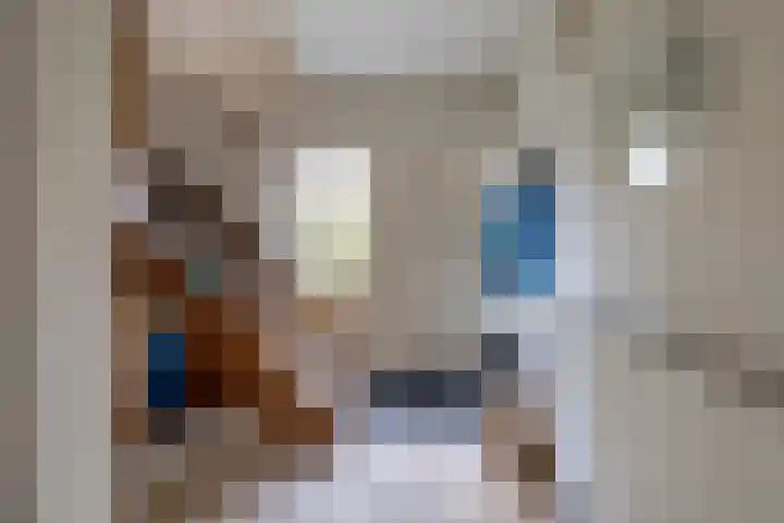 Kastanjelaan 33 Doetinchem thumbnail 23