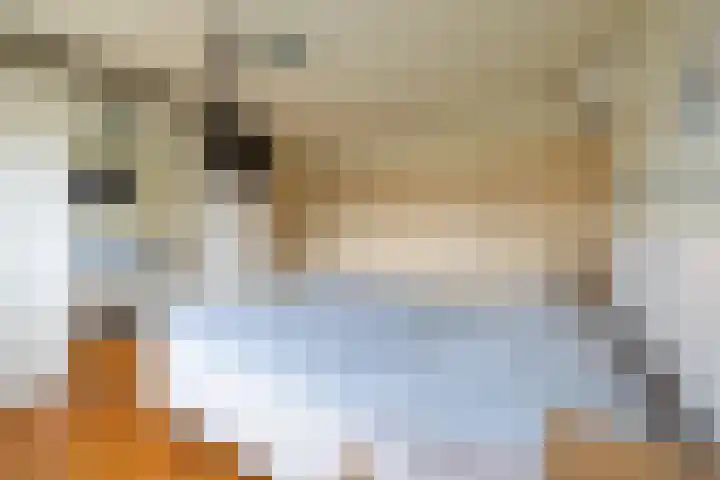 Kastanjelaan 33 Doetinchem thumbnail 27