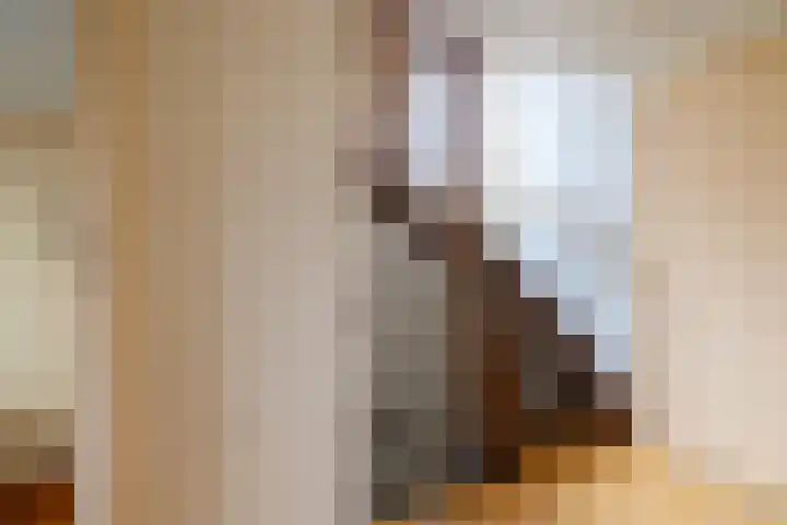 Kastanjelaan 33 Doetinchem thumbnail 34