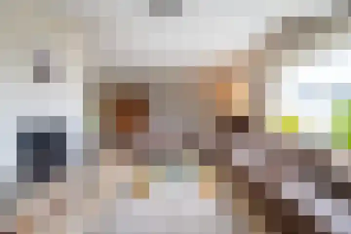 Kastanjelaan 33 Doetinchem thumbnail 6