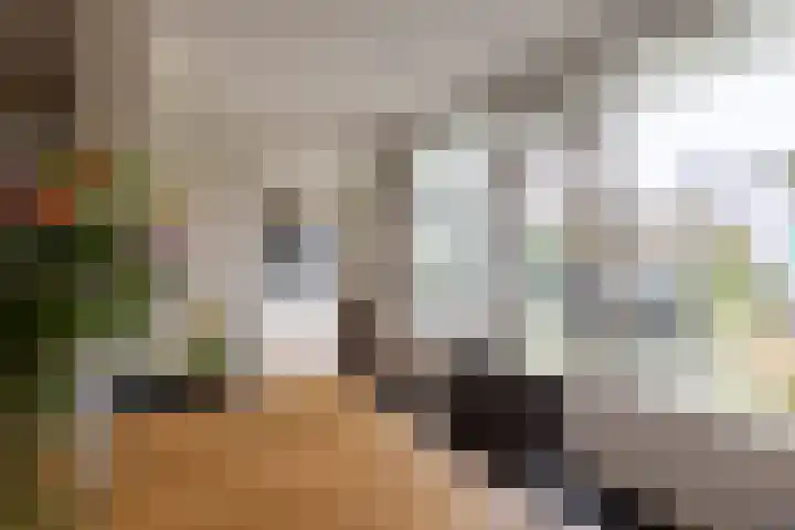 Kastanjelaan 33 Doetinchem thumbnail 9