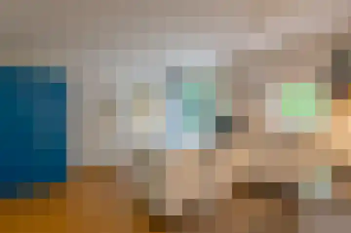 Kastanjelaan 33 Waalre thumbnail 12