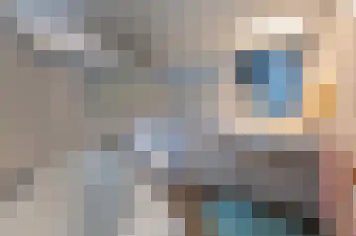 Kastanjelaan 33 Waalre thumbnail 23