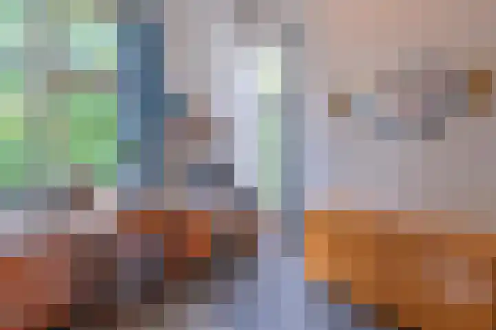 Kastanjelaan 33 Waalre thumbnail 25