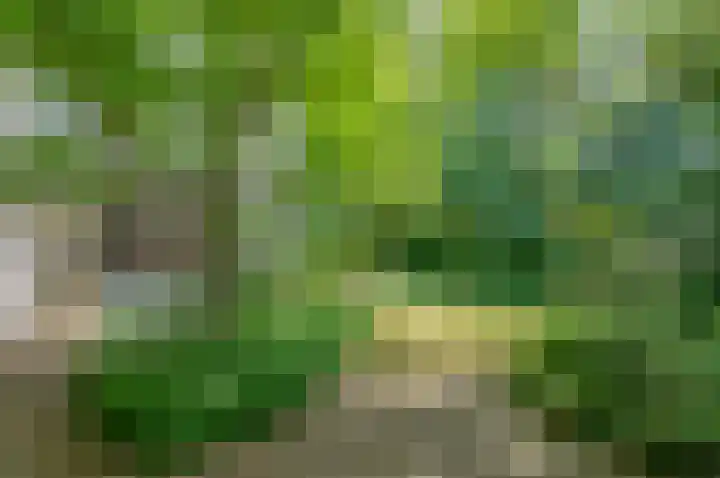 Kastanjelaan 33 Waalre thumbnail 31