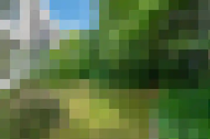 Kastanjelaan 33 Waalre thumbnail 32