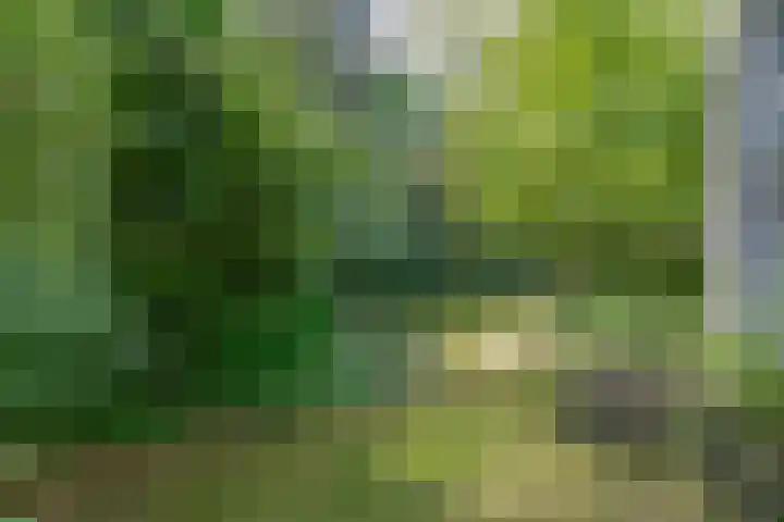 Kastanjelaan 33 Waalre thumbnail 33